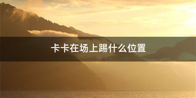 卡卡在场上踢什么位置