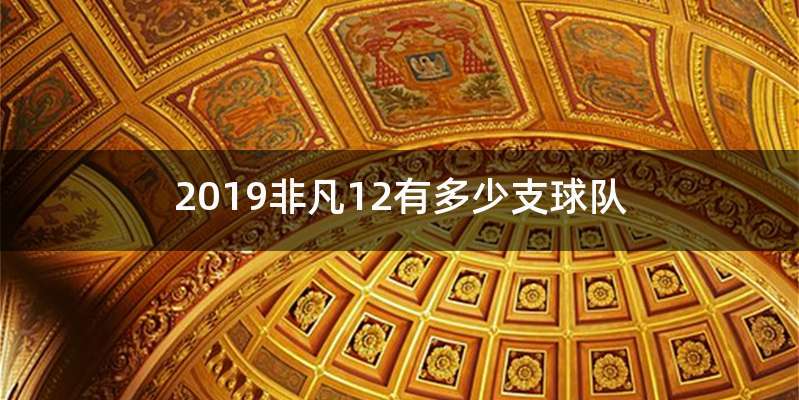 2019非凡12有多少支球队