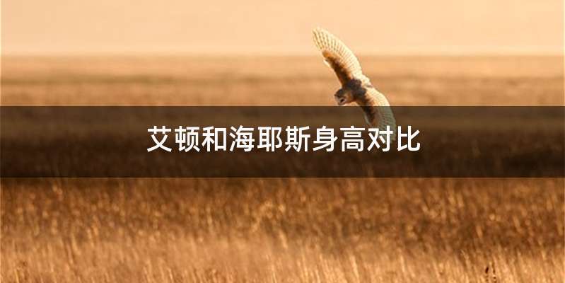 艾顿和海耶斯身高对比