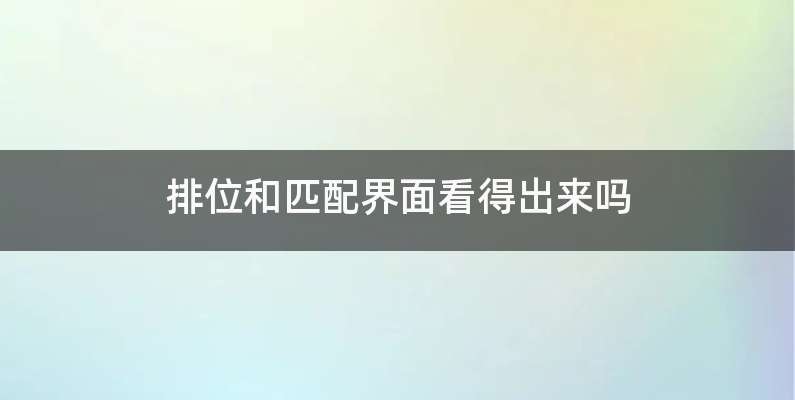 排位和匹配界面看得出来吗