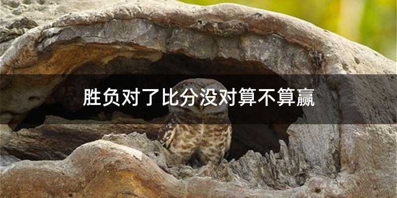 胜负对了比分没对算不算赢