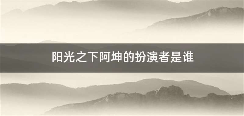 阳光之下阿坤的扮演者是谁