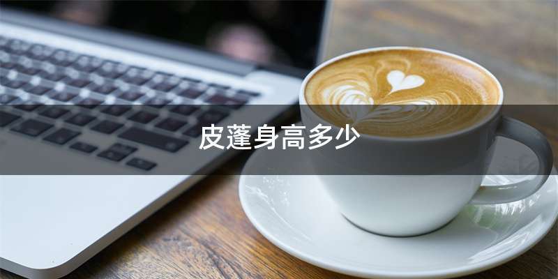 皮蓬身高多少