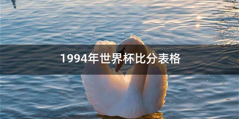 1994年世界杯比分表格
