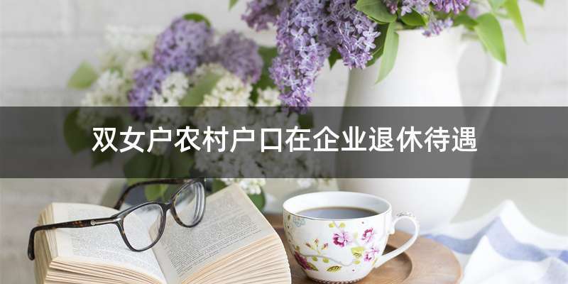 双女户农村户口在企业退休待遇