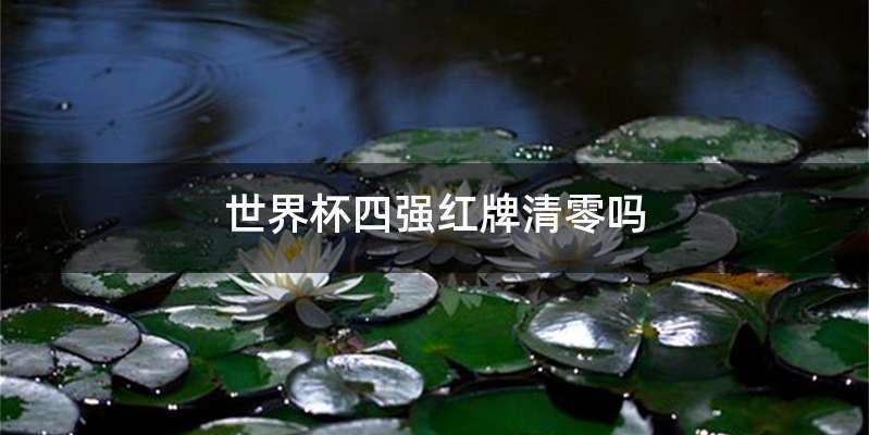 世界杯四强红牌清零吗