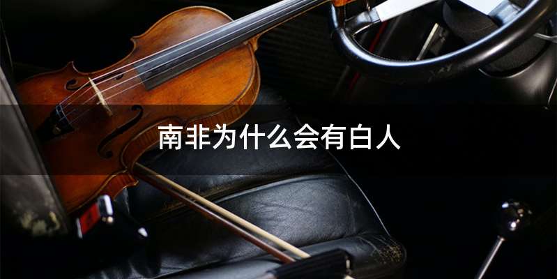 南非为什么会有白人