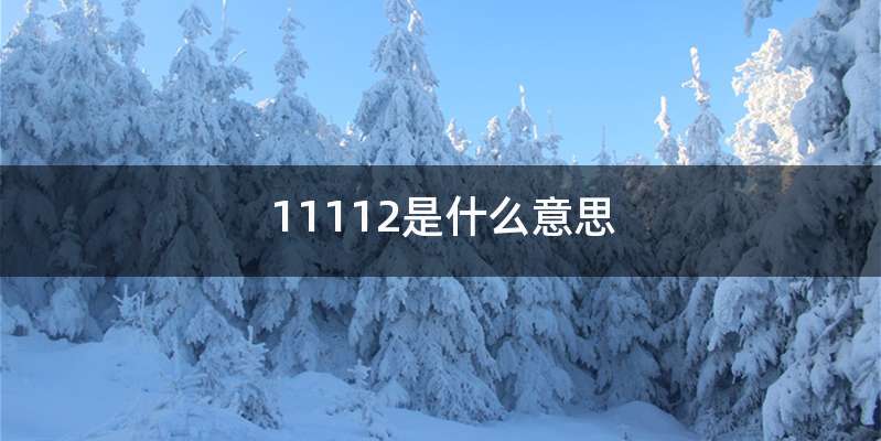 11112是什么意思