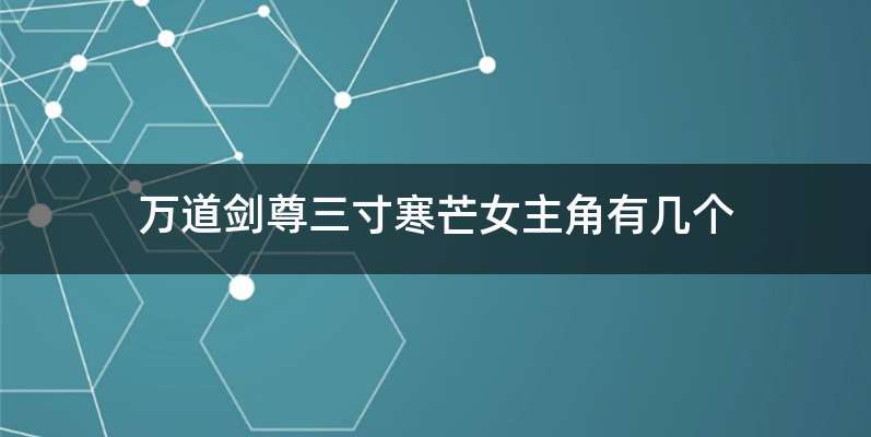 万道剑尊三寸寒芒女主角有几个