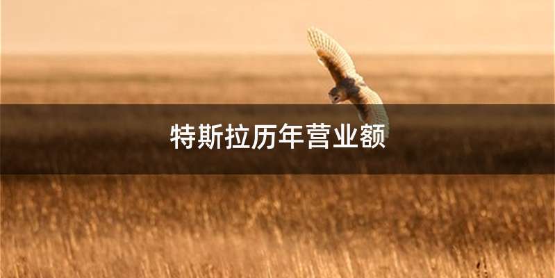 特斯拉历年营业额