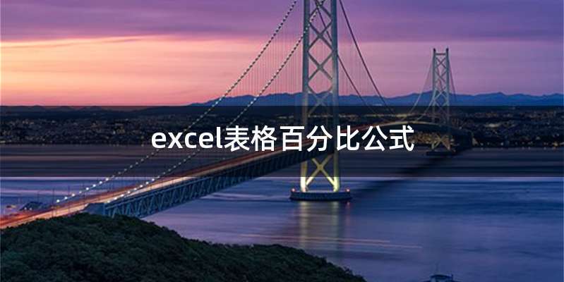 excel表格百分比公式