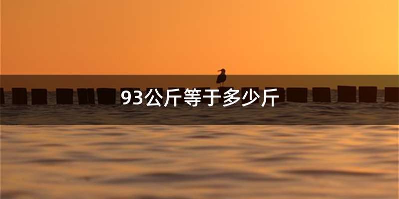 93公斤等于多少斤