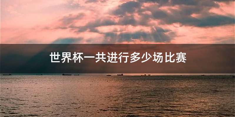 世界杯一共进行多少场比赛