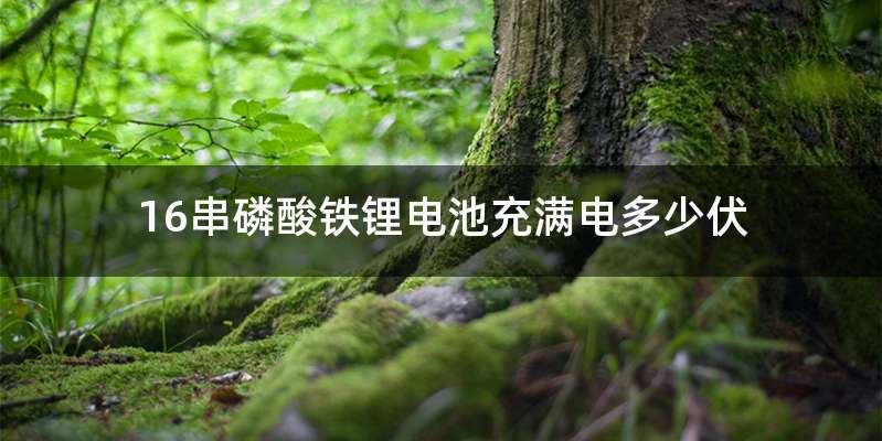 16串磷酸铁锂电池充满电多少伏