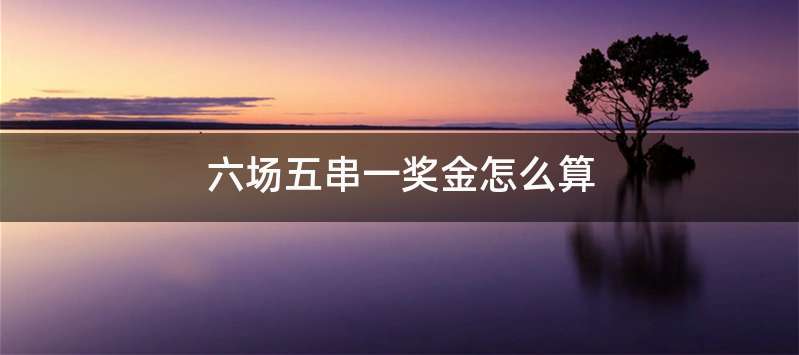 六场五串一奖金怎么算