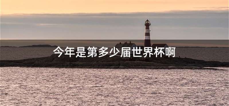 今年是第多少届世界杯啊