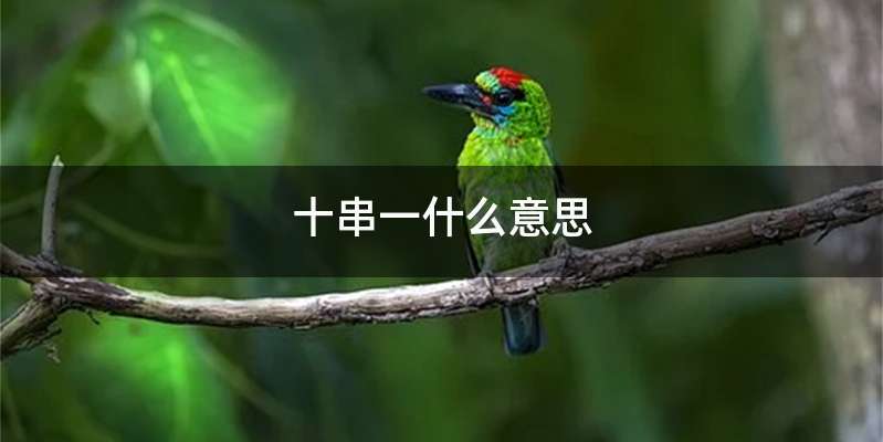 十串一什么意思