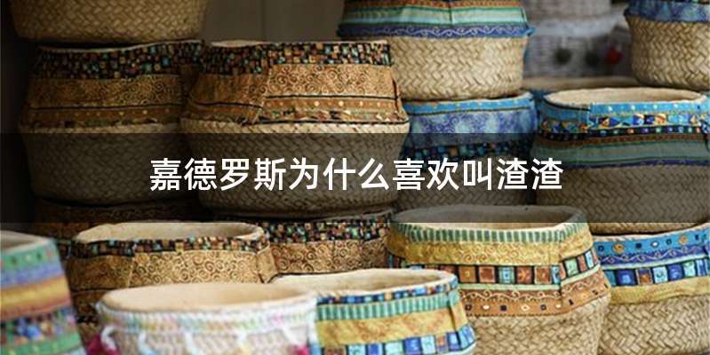 嘉德罗斯为什么喜欢叫渣渣