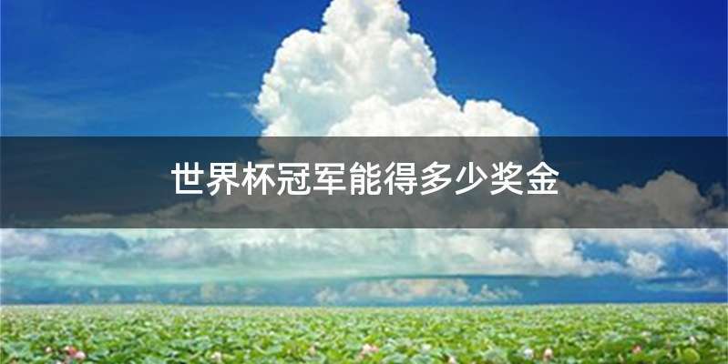 世界杯冠军能得多少奖金