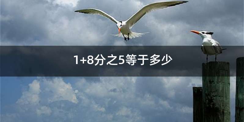 1+8分之5等于多少