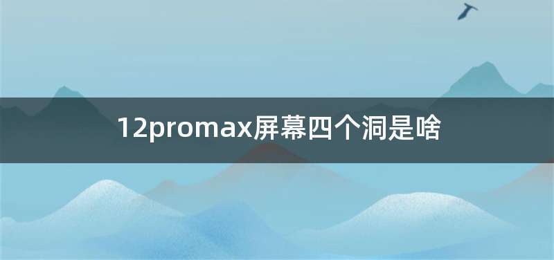 12promax屏幕四个洞是啥