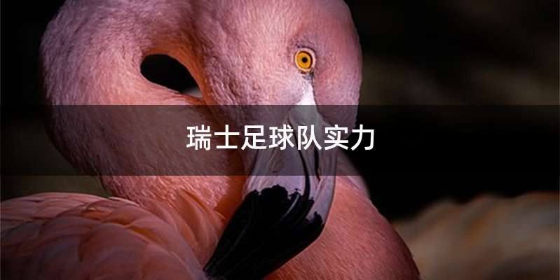 瑞士足球队实力