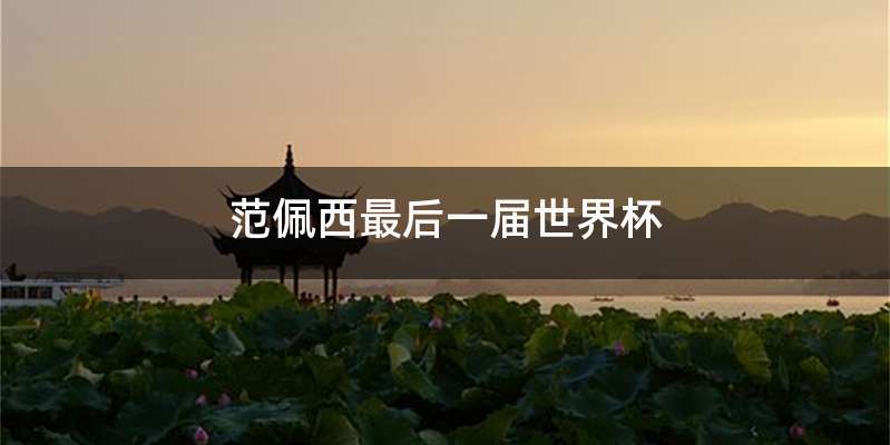 范佩西最后一届世界杯