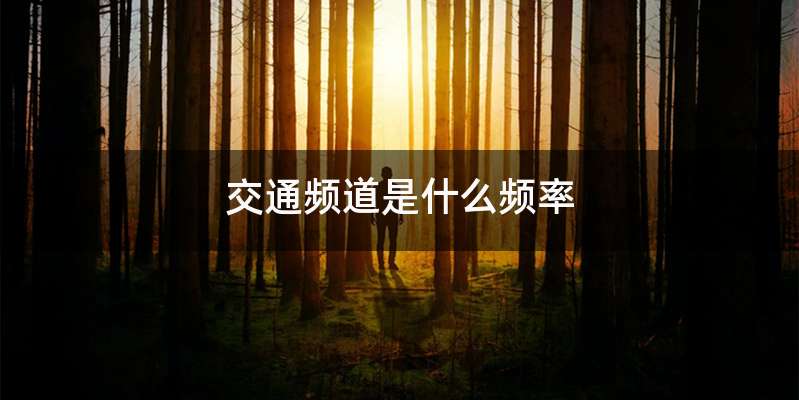 交通频道是什么频率