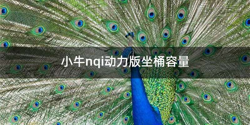 小牛nqi动力版坐桶容量