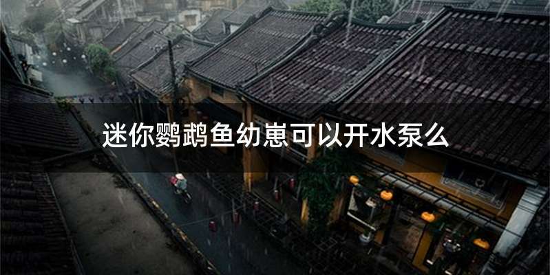 迷你鹦鹉鱼幼崽可以开水泵么