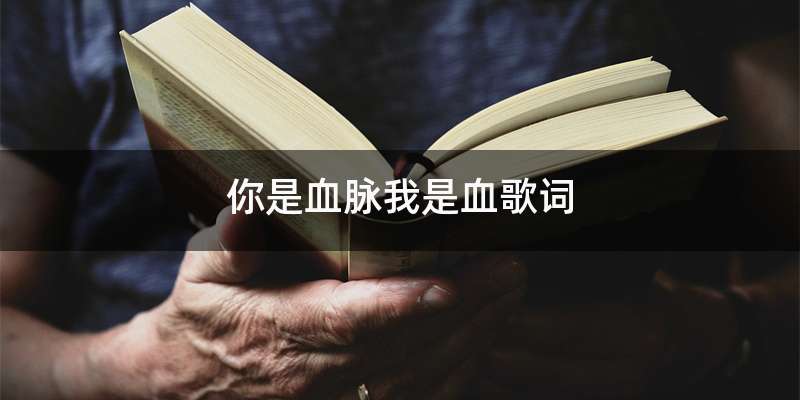 你是血脉我是血歌词