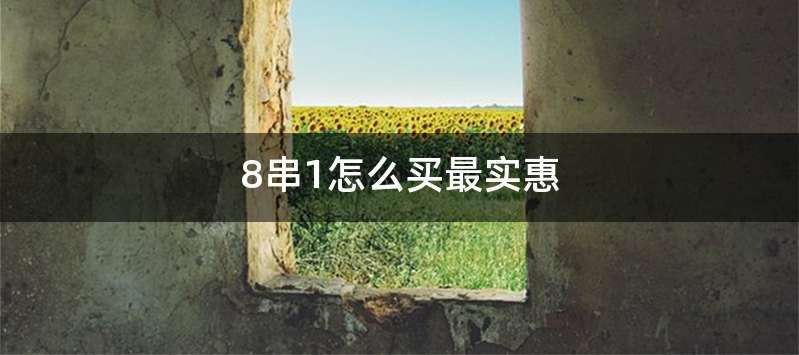 8串1怎么买最实惠