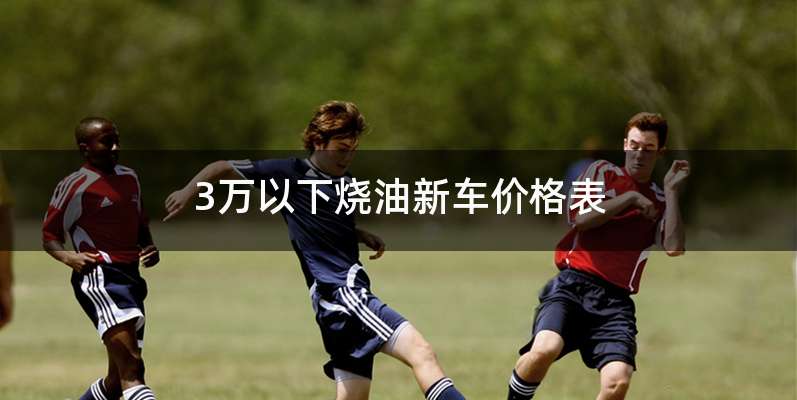 3万以下烧油新车价格表