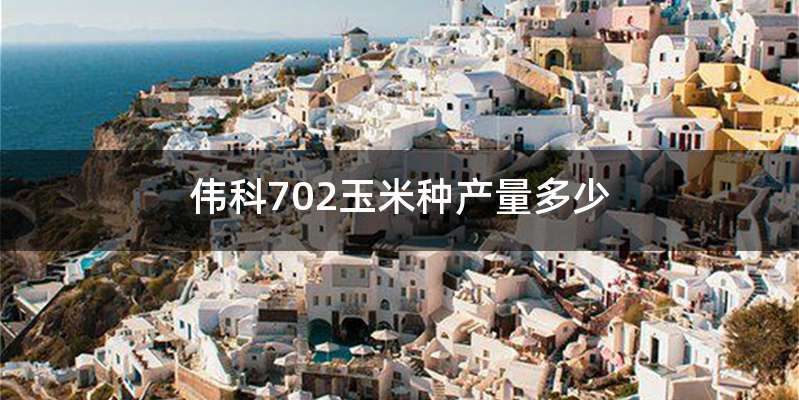 伟科702玉米种产量多少