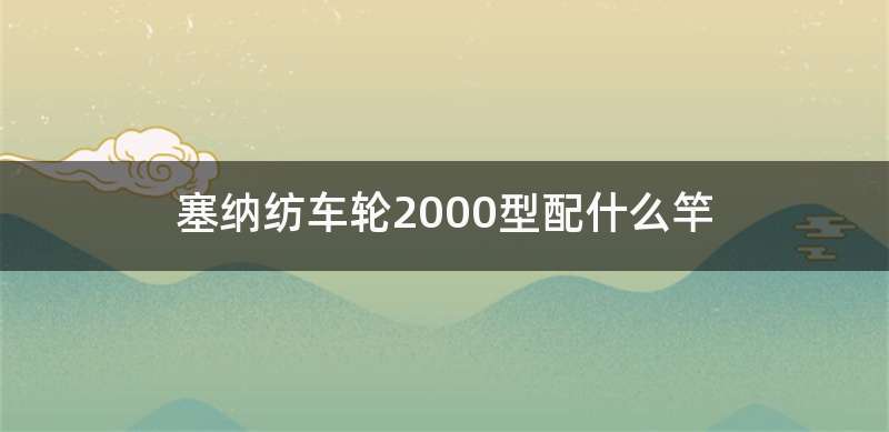 塞纳纺车轮2000型配什么竿