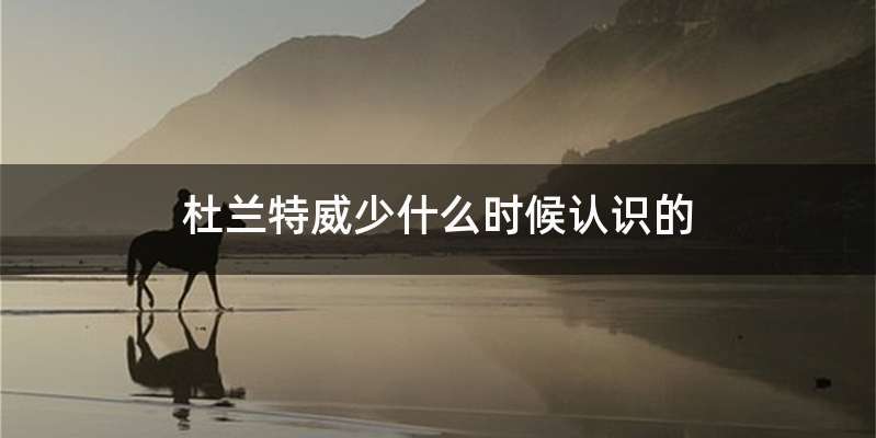 杜兰特威少什么时候认识的