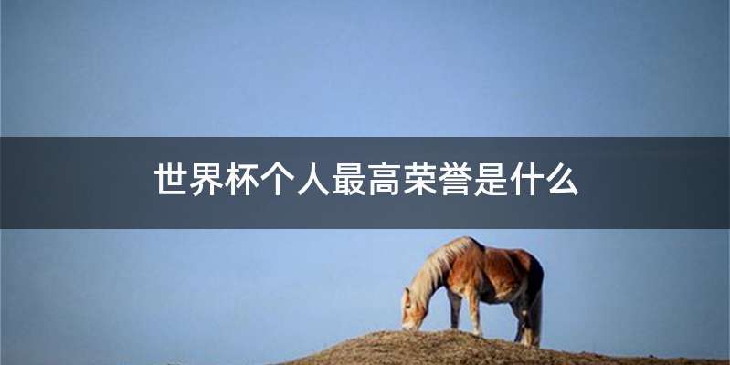 世界杯个人最高荣誉是什么