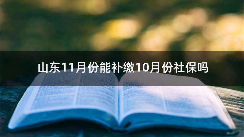 山东11月份能补缴10月份社保吗
