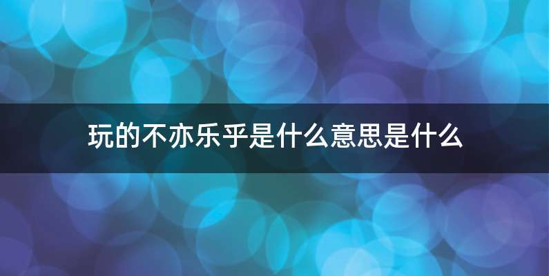 玩的不亦乐乎是什么意思是什么