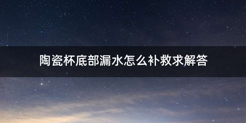 陶瓷杯底部漏水怎么补救求解答