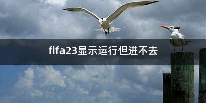 fifa23显示运行但进不去