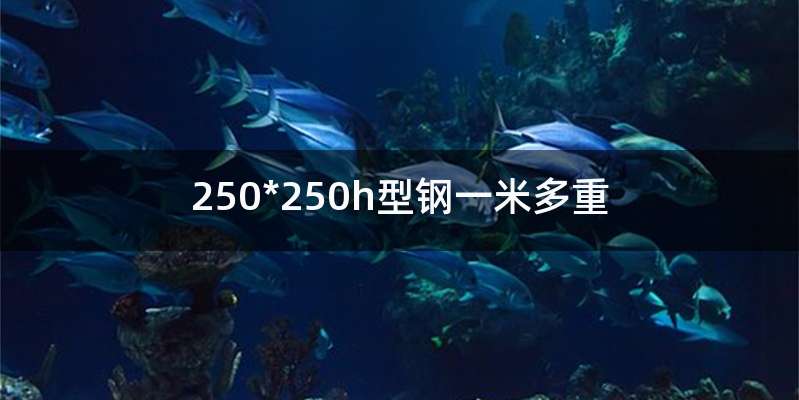 250*250h型钢一米多重