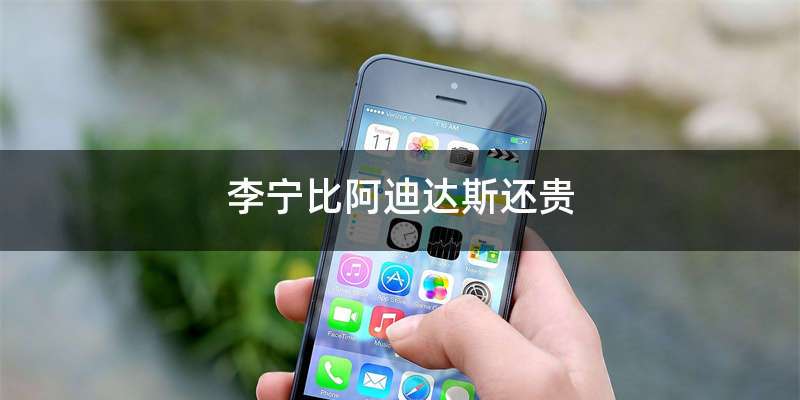 李宁比阿迪达斯还贵