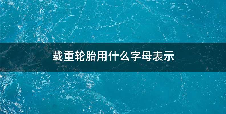 载重轮胎用什么字母表示