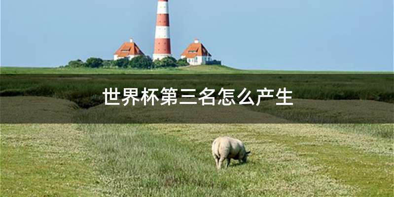 世界杯第三名怎么产生