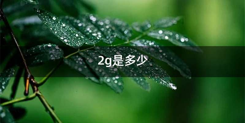 2g是多少