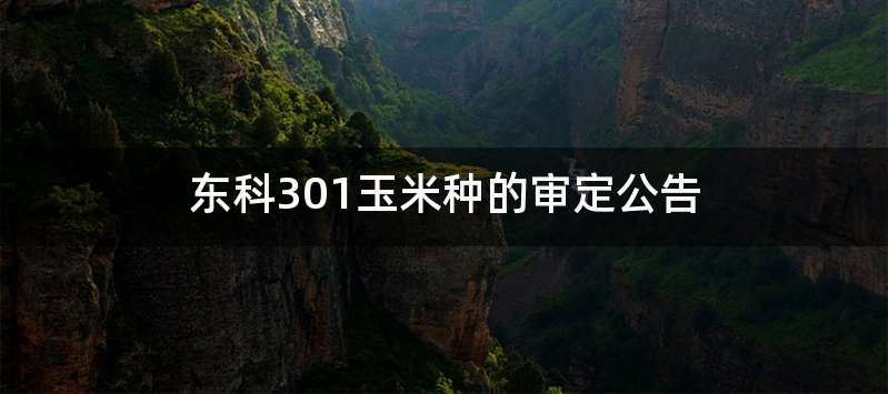 东科301玉米种的审定公告