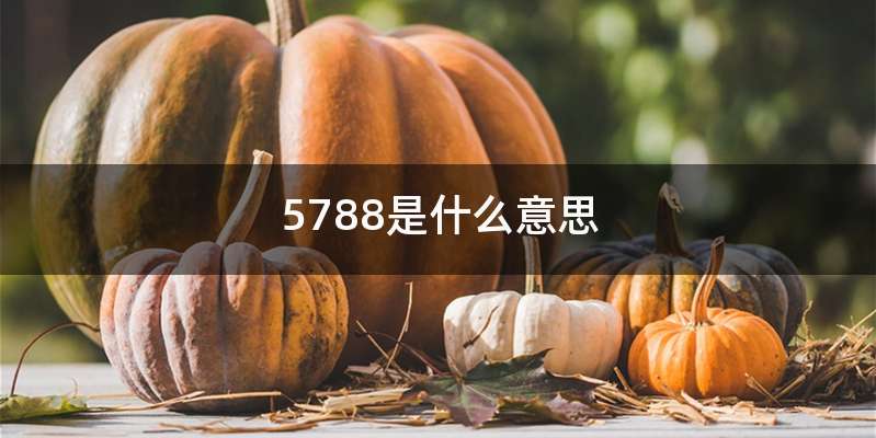 5788是什么意思