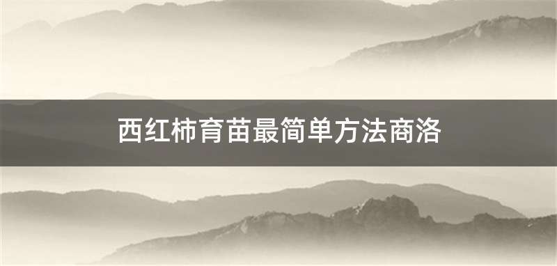 西红柿育苗最简单方法商洛