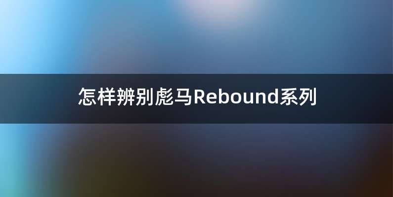 怎样辨别彪马Rebound系列